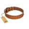 "Walk and Shine" FDT Artisan Tan Leather Dog Collar with Antiqued Studs