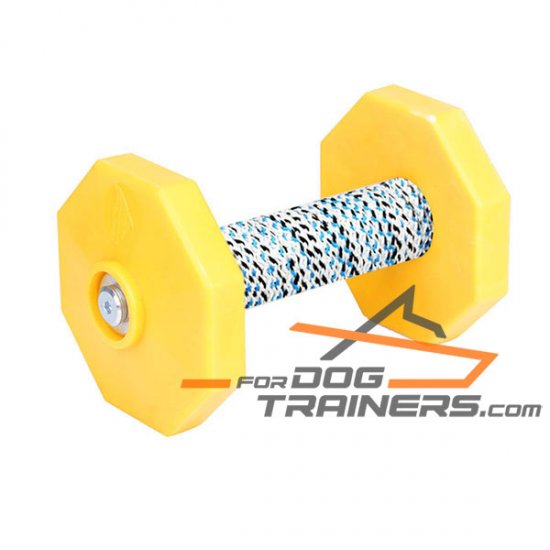 'Training Is Fun' Wooden Dog Dumbbell with Synthetic Cover 650 g (0.650 kg)