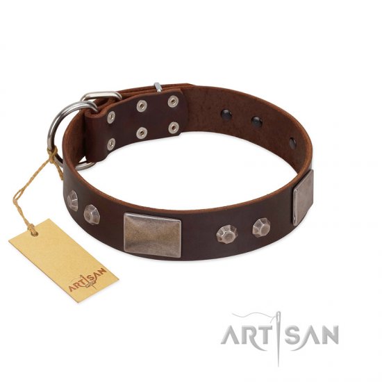 "Stone Stars" Stylish Handmade FDT Artisan Brown Leather Dog Collar