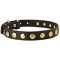 Exclusive Design Leather Dog Collar with Brass Circular Studs