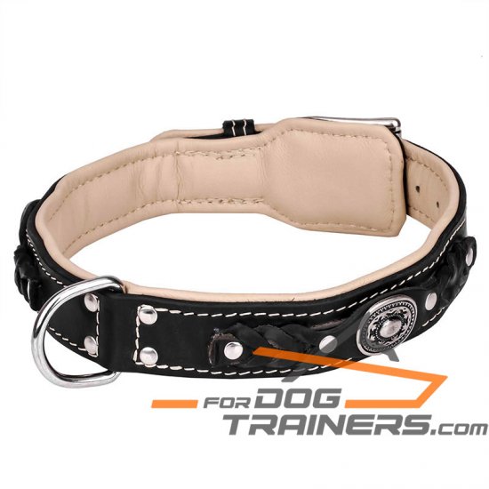 'Soft as Down' Royal Nappa Padded Hand Made Leather Dog Collar - Click Image to Close