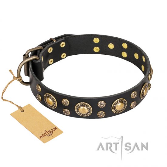 ‘Baroque Chic’ FDT Artisan Studded Black Leather Dog Collar