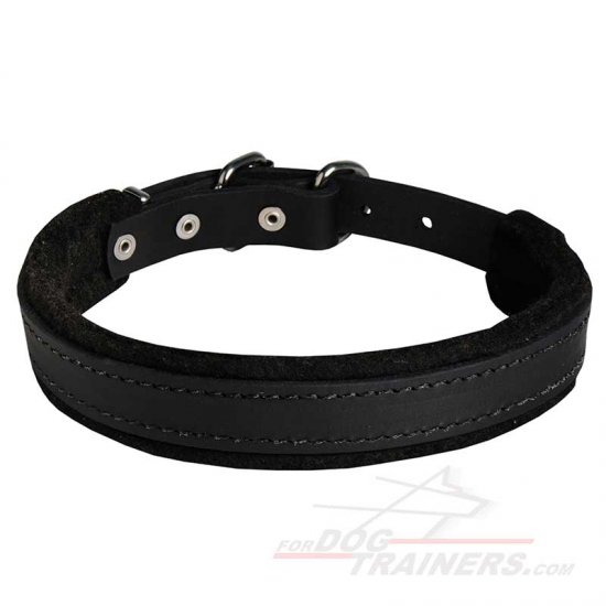 Padded Leather Dog Collar for Agitation Training 1 inch (2.5cm) width