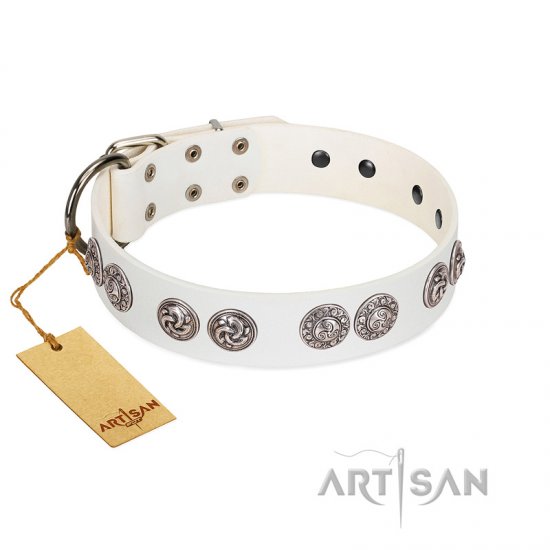 "Eye Candy" Appealing FDT Artisan White Leather Dog Collar with Chrome Plated Medallions