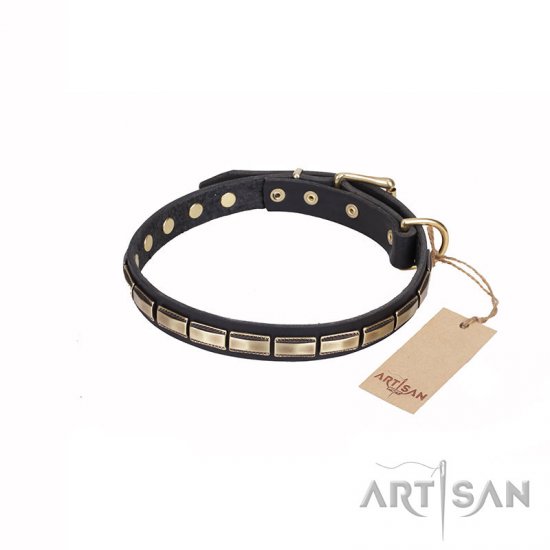 'Wealth Effulgence' FDT Artisan Leather Walking Dog Collar with Brass Plates - 1 inch (25 mm) wide