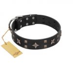 "Star Excitement" Modern FDT Artisan Black Leather Dog Collar with Studs and Stars