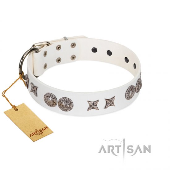 "Seventh Heavens" FDT Artisan White Leather Dog Collar with Chrome-plated Stars and Engraved Brooches