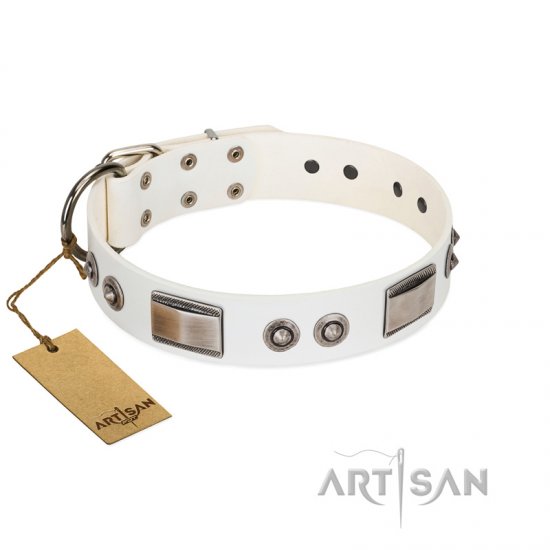 "Good-Luck Piece" FDT Artisan White Dog Collar Adorned with Chrome Plated Stars and Plates - Click Image to Close