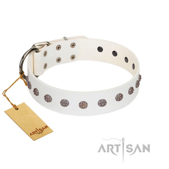 "Fresh Breeze" FDT Artisan Elegant White Dog Collar with Silvery Studs - Click Image to Close