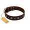 "Pure Sensation" Exclusive FDT Artisan Brown Leather Dog Collar with Fancy Brooches and Studs