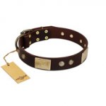 "Middle Age" FDT Artisan Brown Leather Dog Collar with Old Bronze-Plated Engraved Flowers and Large Plates