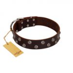 "Blossom Jewel" FDT Artisan Brown Leather Dog Collar with Two Rows of Silver-like Studs with Engraved Flowers