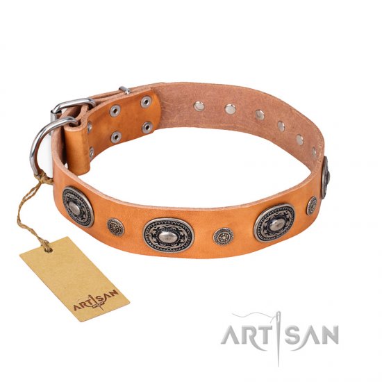 'Twinkle Twinkle' FDT Artisan Incredible Studded Tan Leather Dog Collar