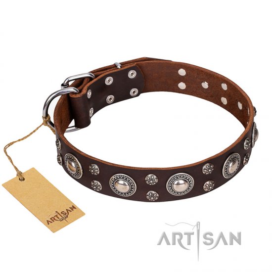 ‘Age of Beauty’ FDT Artisan Incredible Studded Brown Leather Dog Collar - Click Image to Close