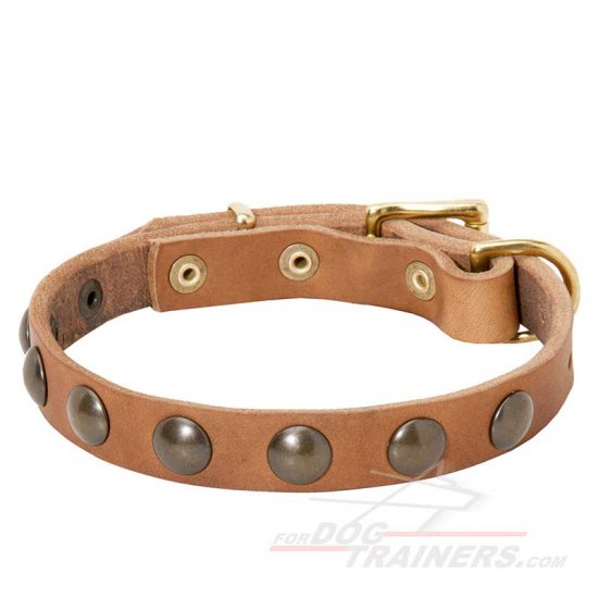 Studded Leather Dog Collar for Puppies and Small Breeds - Click Image to Close