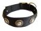 Fashion Nylon Dog Collar for Any Weather Walking