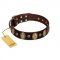 "Bronze Idol" FDT Artisan Brown Leather Dog Collar with Eye-catchy Ovals and Small Studs