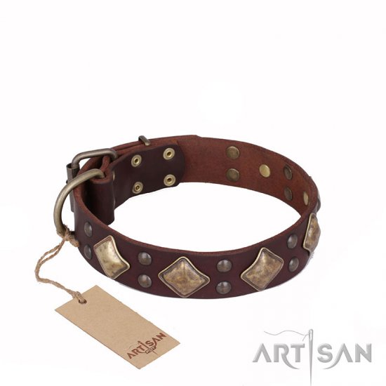 ‘Golden Square’ FDT Artisan Brown Leather Dog Collar with Large Squares - 1 1/2 inch (40 mm) wide