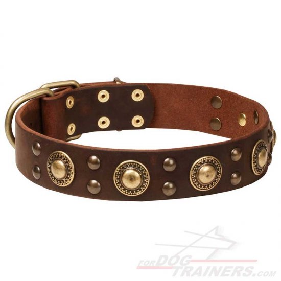 "Space-like" Leather Dog Collar with Brass Decoration - Click Image to Close