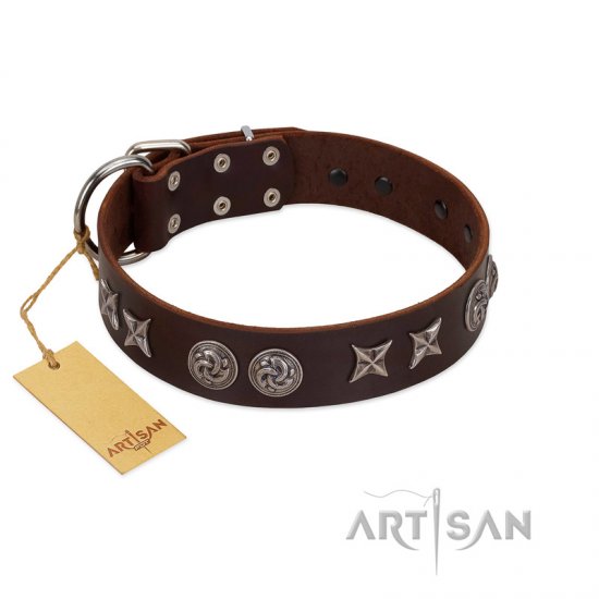 "Silver Sunset" Designer Handmade FDT Artisan Brown Leather Dog Collar - Click Image to Close