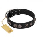 "Сentury Silver" Designer Handmade FDT Artisan Black Leather Dog Collar