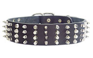 'Silver Vigor' Spiked and Studded Dog Training Collar