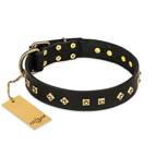 'Rhomb Style' FDT Artisan Decorated Leather Dog Collar with Old Bronze-Plated Studs 1 1/2 inch (40 mm) Wide