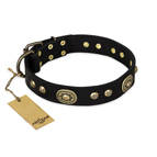 'High Fashion' FDT Artisan Studded with Plates Black Leather Dog Collar