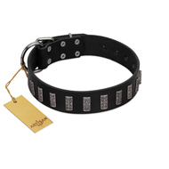 "Black Prince" Handmade FDT Artisan Black Leather Dog Collar with Silver-Like Adornments