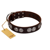 "High and Mighty" FDT Artisan Classy Brown Leather Dog Collar with Embellished Brooches