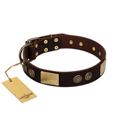 "Bow-Wow Effect" FDT Artisan Brown Leather Dog Collar with Plates and Ornate Studs