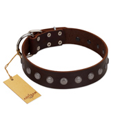 "Gladiator Style" Stylish FDT Artisan Brown Leather Dog Collar for Comfy Walks