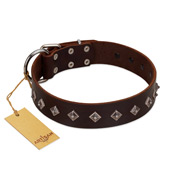 "Boundless Energy" Premium Quality FDT Artisan Brown Designer Dog Collar with Small Pyramids