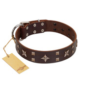 "Stars in Sands" Modern FDT Artisan Brown Leather Dog Collar with Studs and Stars