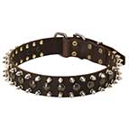 "Catchy Look" Decorated Leather Dog Collar with Spikes and Studs