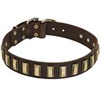 Decorated Leather Dog Collar with Brass Vertical Plates