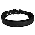 Felt Padded Leather Dog Collar with Strong Hardware