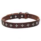 'Interstellar' Narrow Leather Dog Collar with Silver-like Decoration