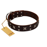 "Bigwig Woof" FDT Artisan Brown Leather Dog Collar with Chrome Plated Stars and Square Studs