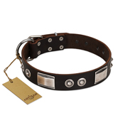 "Baller Status" FDT Artisan Brown Dog Collar Adorned with a Set of Chrome Plated Stars and Plates