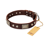 'Pirate Skull' FDT Artisan Brown Leather Dog Collar with Old Silver Look Plates and Skulls - 1 1/2 inch (40 mm) wide