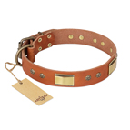 'Enchanting Spectacle' FDT Artisan Tan Leather Dog Collar with Old Bronze Look Plates and Round Studs - 1 1/2 inch (40 mm) wide