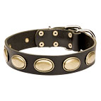 Retro Rulz - Vintage Dog Leather Collar