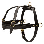 Comfortable Dog Harness for Pulling, Tracking and Walking