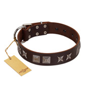 "Needle Stories" Modern FDT Artisan Brown Leather Dog Collar with Square Engraved Plates and Four-Point Stars