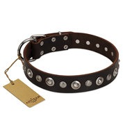 "Gorgeous Shields" FDT Artisan Brown Leather Dog Collar with Old Silver-like Circles and Small Camomiles 1 1/2 inch (40 mm) Wide