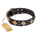 'Fancy-Schmancy' FDT Artisan Studded Leather Dog Collar