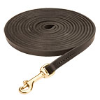 Long Tracking Leather Dog Leash