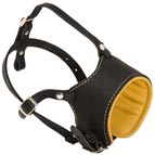 Anti-barking Leather Dog Muzzle with Soft Nappa Padding