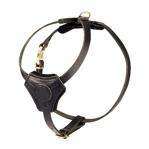 Stylish Leather Harness for Small Dogs and Puppies - Click Image to Close